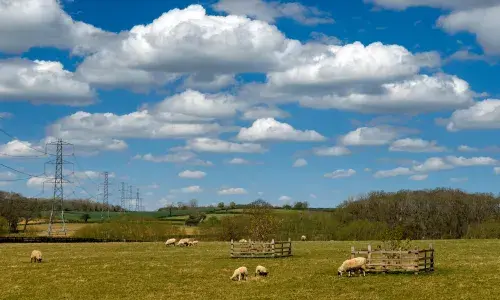 Weston Marsh to East Leicestershire