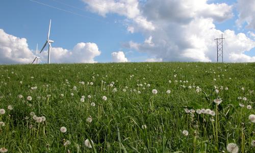 Green field with wind turbines and electricity transmission tower for National Grid US green bond story
