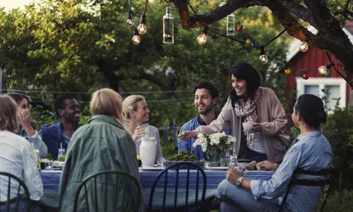 Group of people having dinner in a garden under a tree with a string of lights in it