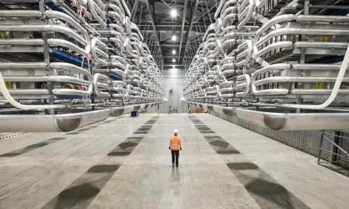 Engineer wearing PPE standing in the valve hall of the IFA2 interconnector