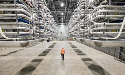 Engineer wearing PPE standing in the valve hall of the IFA2 interconnector