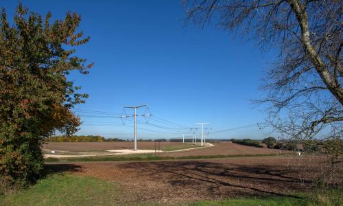 T-pylons across field with trees in the foreground