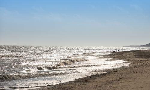Beach scene