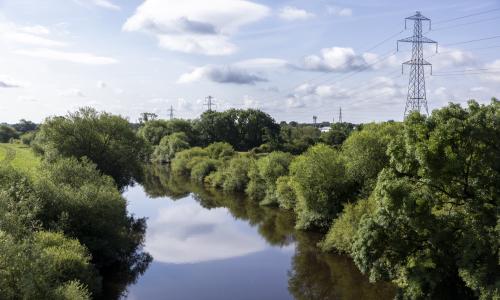 Yorkshire Green