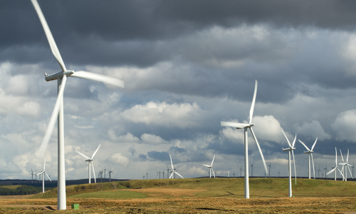 A picture of a wind farm