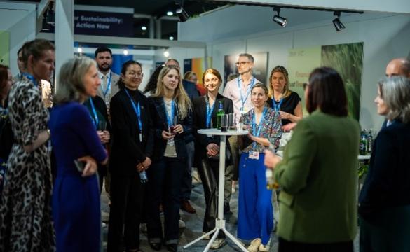 COP29