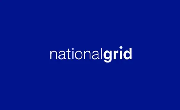 NG logo image