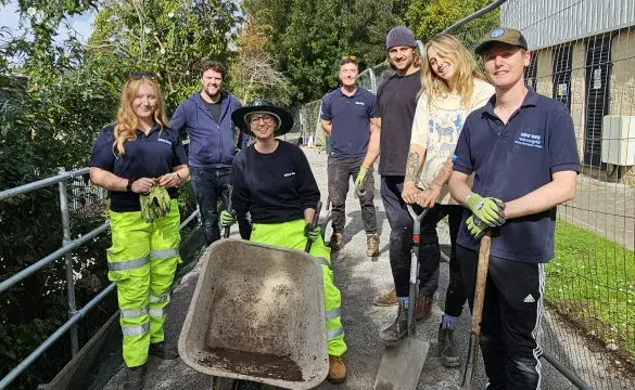 volunteers