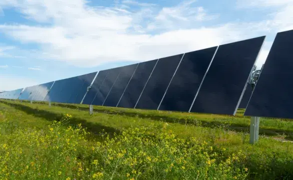 Solar panels installed in grassy field