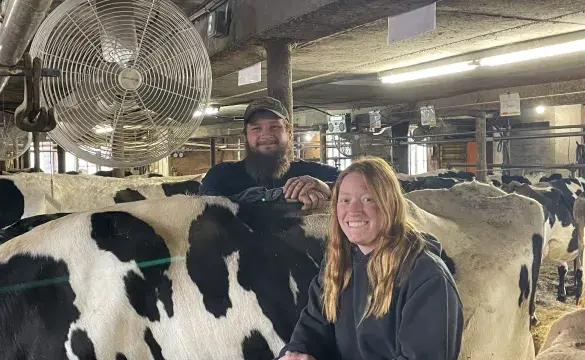 Two People with cows