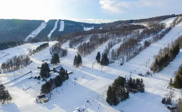 A place filled with Ice and the Trees on it