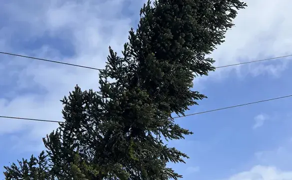 National Grid power restoration after wind strom