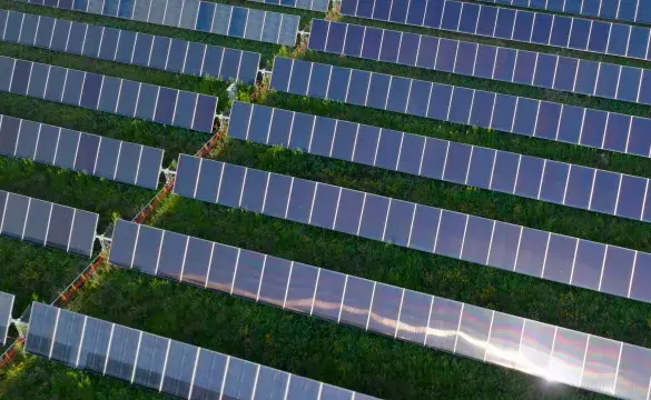 Amazon Solar Farm