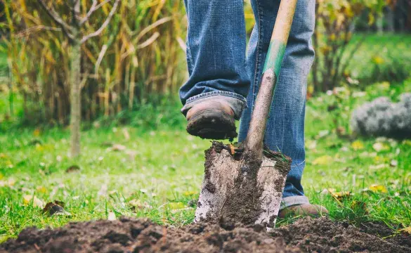 digging
