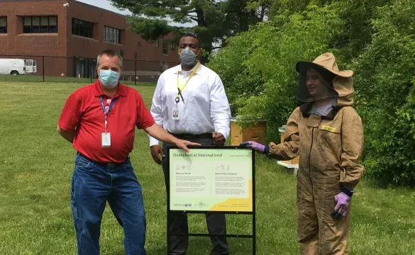 Pollination and Biodiversity Programs