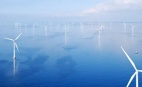 Sea