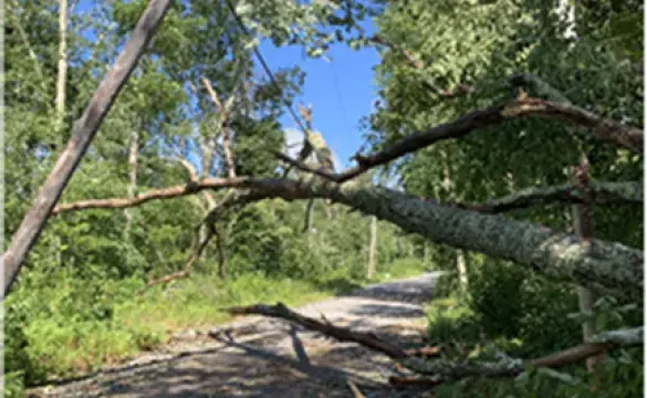 restoring power after storm