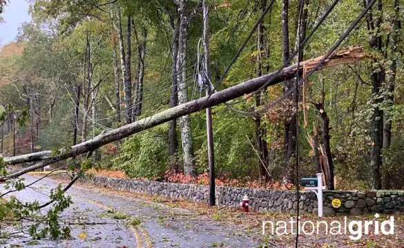 Damage Caused by Powerful Storm 