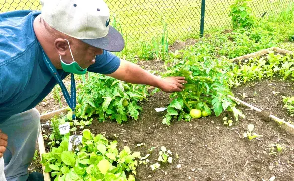 Community Garden