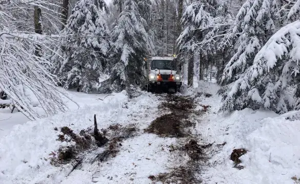 Utility truck travelling in snow forest 