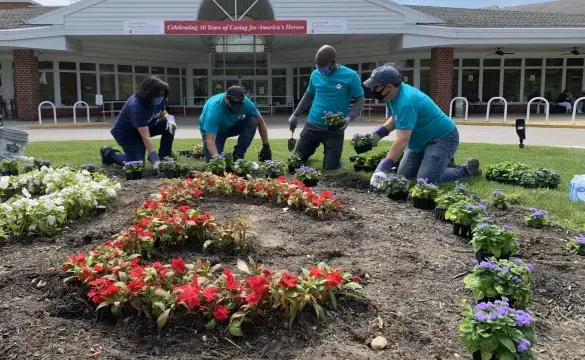 Beautify grounds
