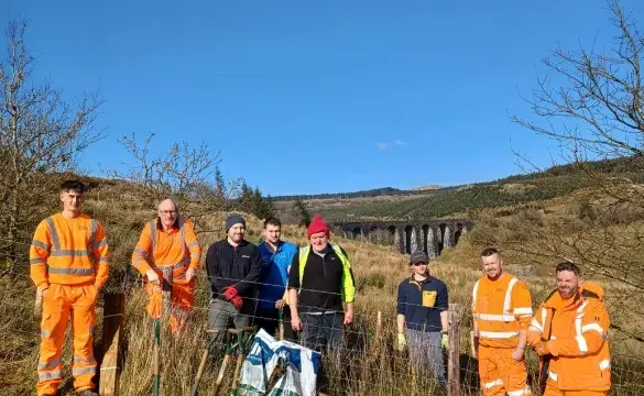 Team volunteering at Eryri National Park 