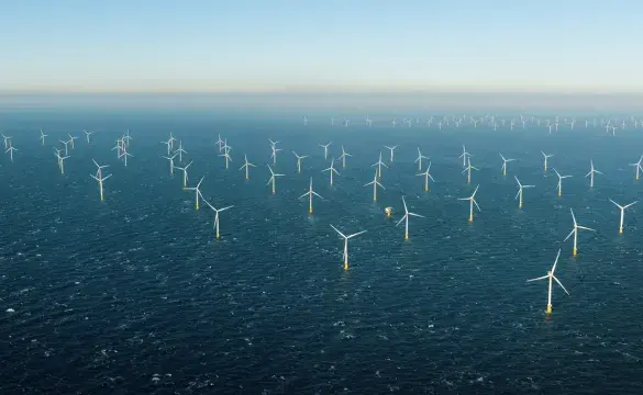 Offshore wind farm