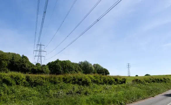 Image of pylons in a field by a treeline