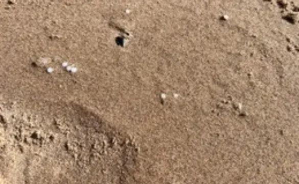 beach sand