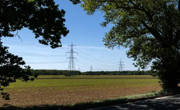 Pylon in a field, shaded by trees