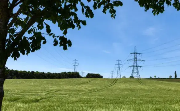 Image of pylon in a field, with tree in foreground