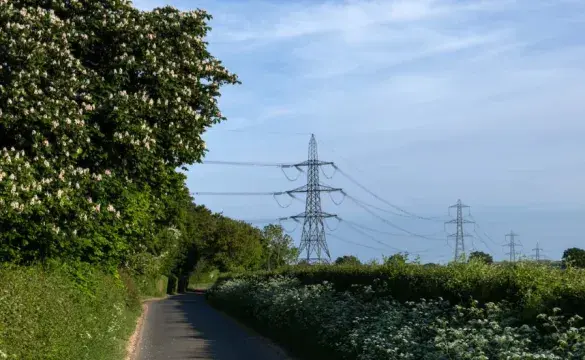 Image of pylon down a country lane