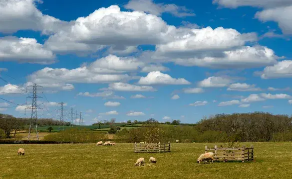 Weston Marsh to East Leicestershire