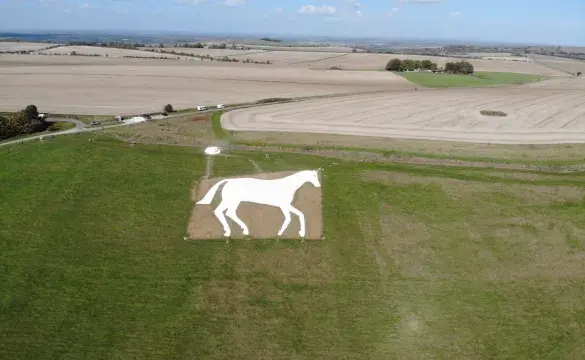 Millenium White Horse complete 