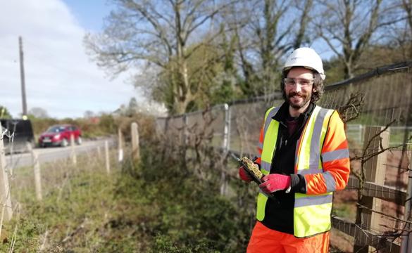 National Grid partners with UWE to protect UK's bat population article