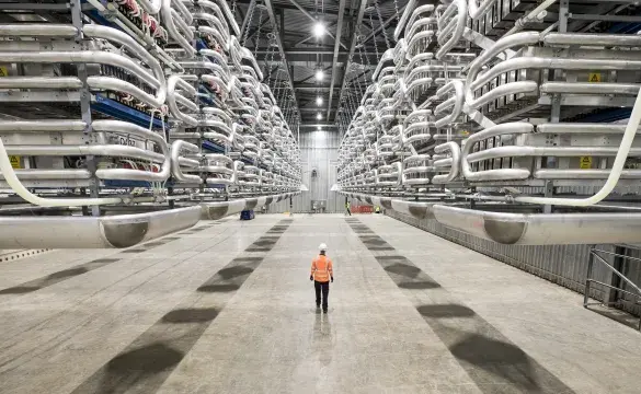 Engineer wearing PPE standing in the valve hall of the IFA2 interconnector