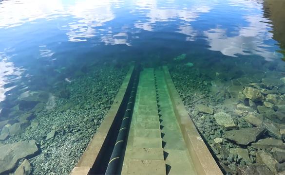 North Sea Link interconnector cable descending into the sea from the shore
