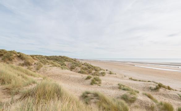 View over beach sand dunes into ocean