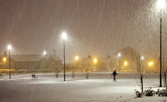 Person walking in a park beneath lit street lights as snow is falling
