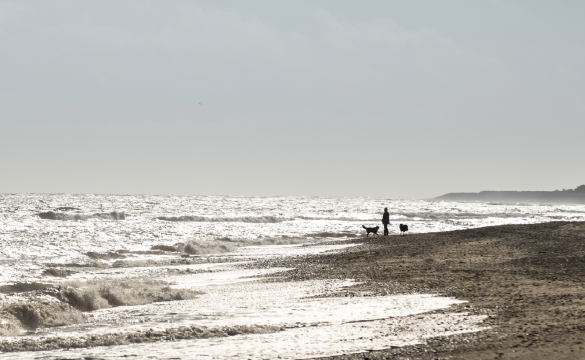 Family walking on beach