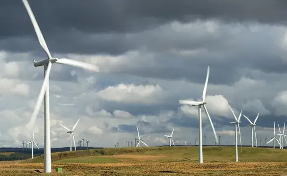 A picture of a wind farm