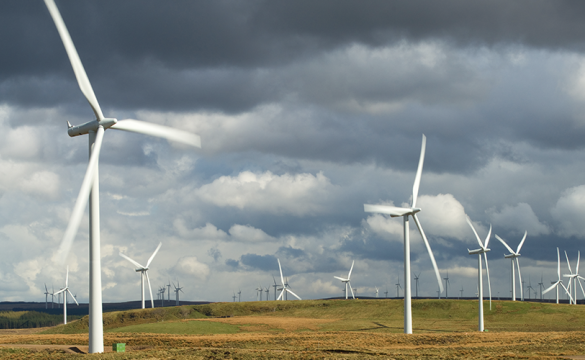 A picture of a wind farm