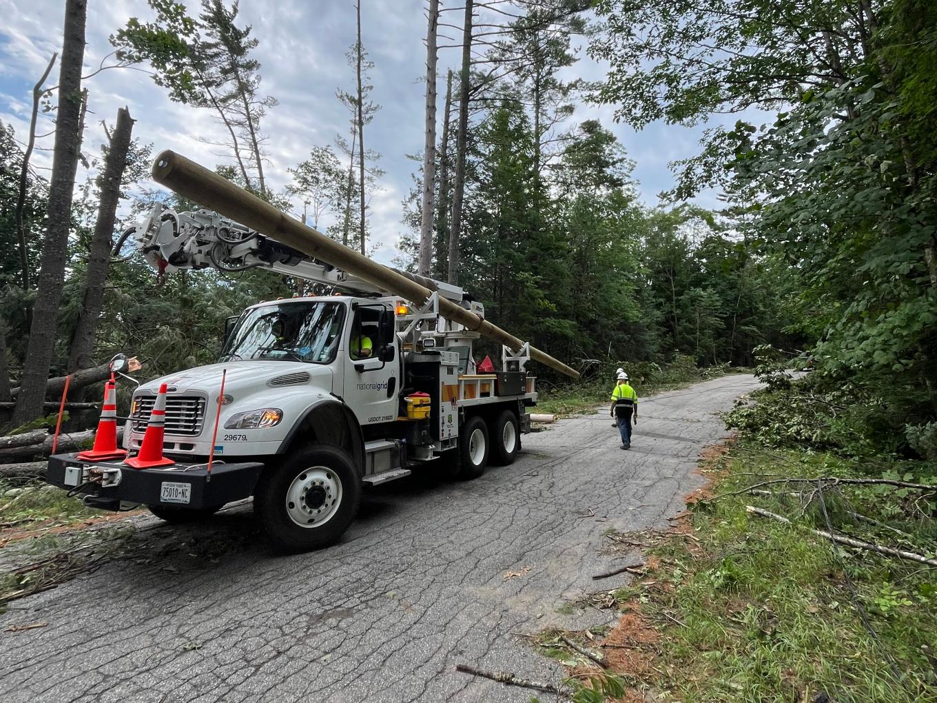 A Vehicle in a forest