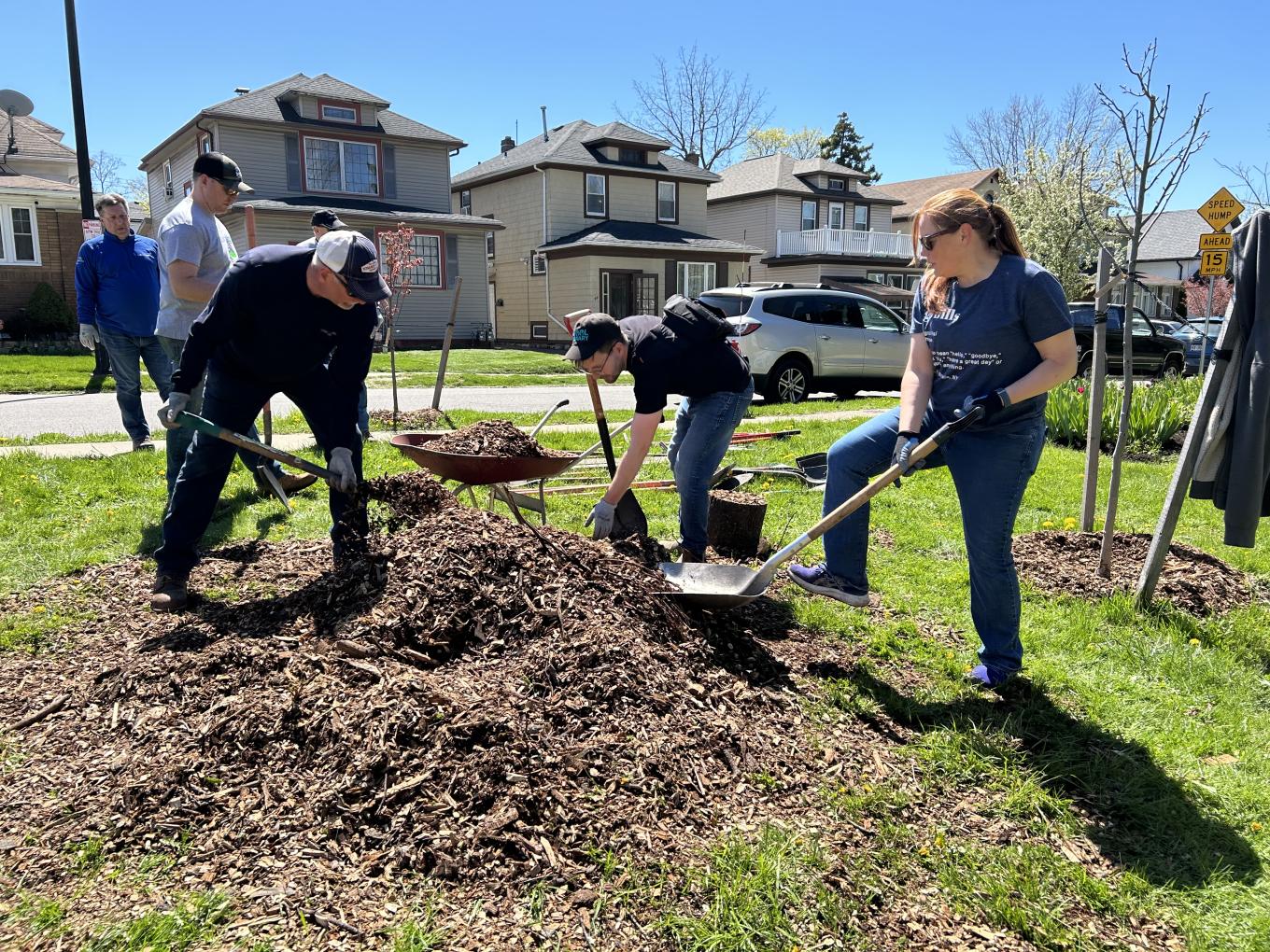 Volunteers Shoveling Soli For Tree Planting 