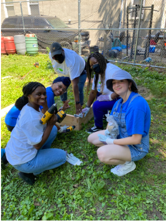 Volunteers planting in garden 