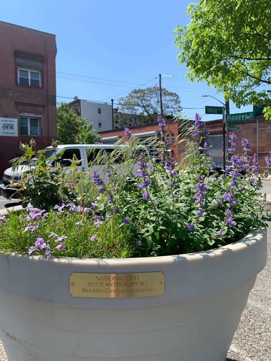  Brooklyn Greenway Initiative