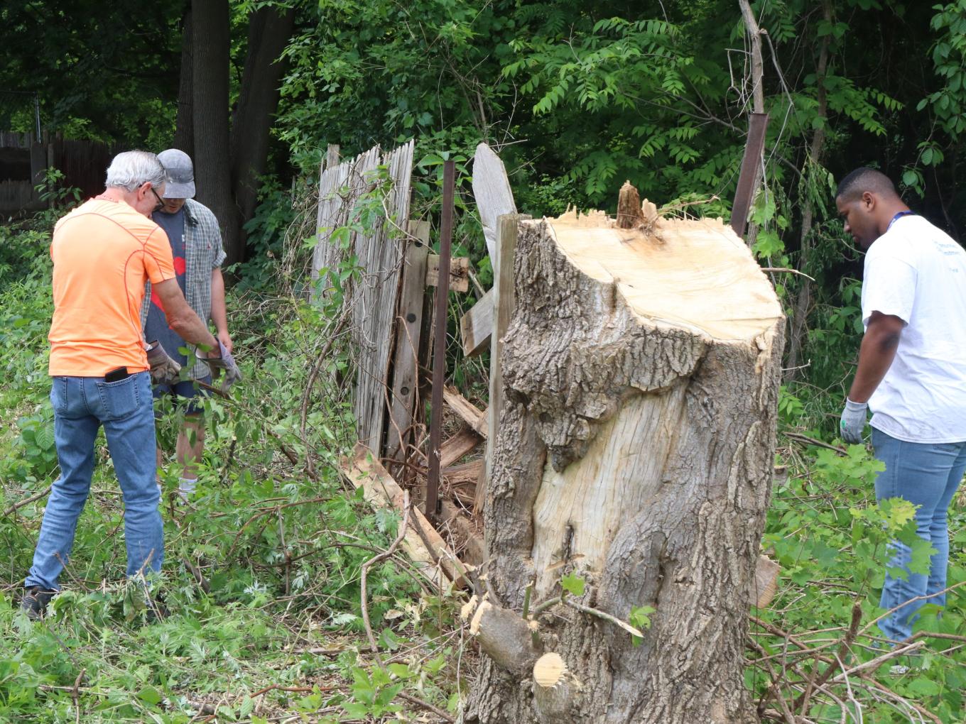 Workers cutting large fallen tree