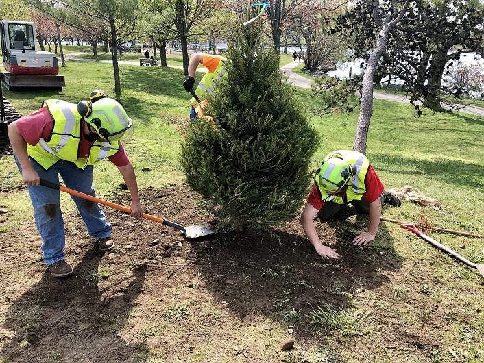 Planting Trees