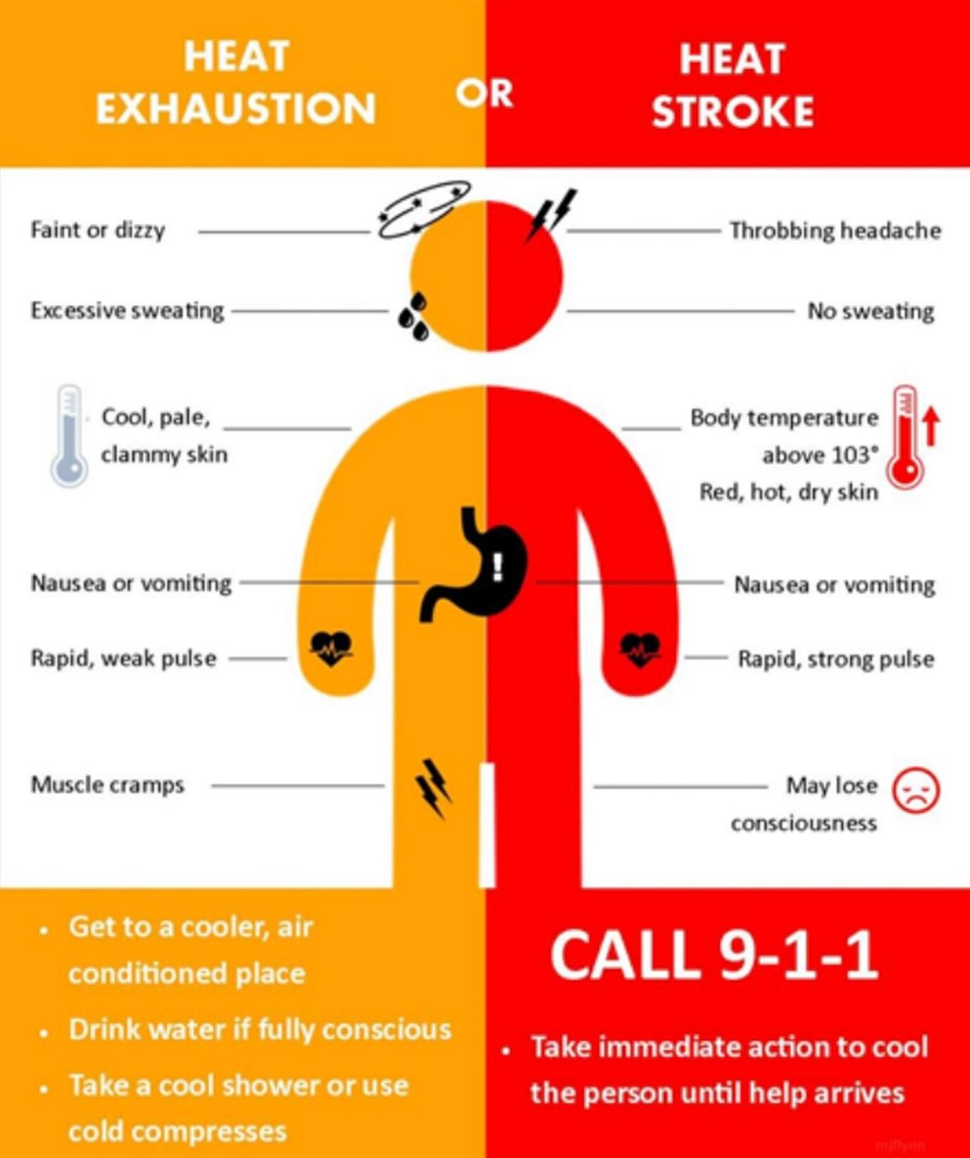 Heat exhaustion and heat stroke sympotoms infographic
