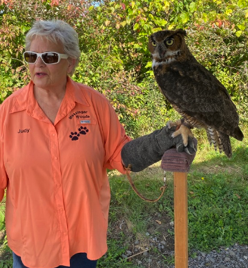 Picture with great horned owl 